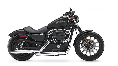 Harley Davidson Iron 883 Model Image